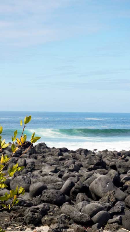 Galápagos